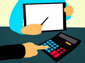 开云esports-体教融合视角下的校内竞赛体系构建方案，学校体教融合经验交流材料